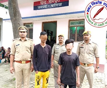 थाना भीमपुरा जनपद बलिया पुलिस द्वारा गौकशी से संबंधित 02 नफर अभियुक्तों को किया गया गिरफ्तार ! अभियुक्तों के कब्जे से 01 पिकअप वाहन में लदे 03 राशि गोवंश (गाय) बरामद !