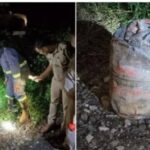कालिंदी एक्सप्रेस ट्रेन मामले में संदिग्ध शाहरुख से NIA करेगी पूछताछ, पुलिस के हाथ लगी सीसीटीवी फुटेज !
