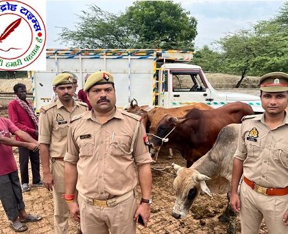 थाना सिंधौरा पुलिस टीम ने एक पिकअप पर लदी 05 राशि गोवंश को किया बरामद !