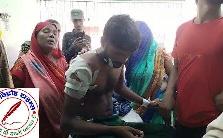 बाघ के लगातार हमले से दहशत !