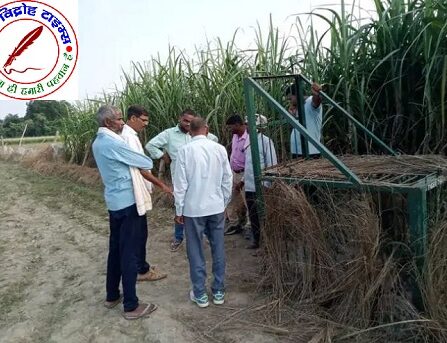 हिंसक जानवर की दस्तक, ग्रामीणों में दहशत ! सियार की आशंका ग्रामीणों ने जताई चिंता, वन विभाग टीम ने लगाया पिंजरा !