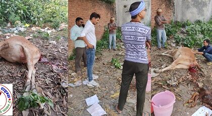 जिला उपाध्यक्ष की सहायता से गौ माता गौ एवं बच्चा दोनों सुरक्षित !