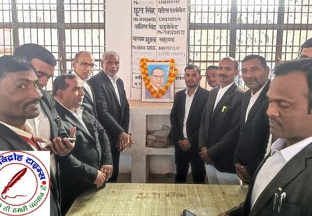 डिस्ट्रिक्ट बार एसोसिएशन सोनभद्र द्वारा डॉ. भीमराव अंबेडकर की पुण्यतिथि मनाया गया !