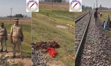 ट्रेन से कटकर महिला की मौत ! रेलवे ट्रैक पार करते समय हुआ हादसा, पुलिस जांच में जुटी !