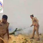 नौतनवां थाना अंतर्गत अड्डा बाजार चौकी के ग्राम सभा बैजनाथपुर चरका में अज्ञात कारणों से गेहूं के डंठल में लगी आग !