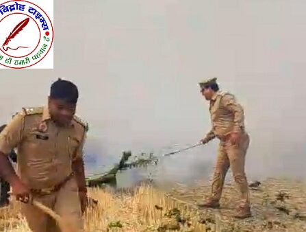 नौतनवां थाना अंतर्गत अड्डा बाजार चौकी के ग्राम सभा बैजनाथपुर चरका में अज्ञात कारणों से गेहूं के डंठल में लगी आग !