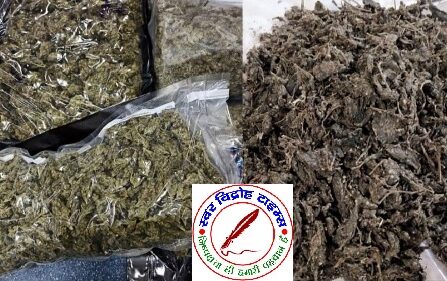 महावनखोर ओवर ब्रिज के नीचे गाजा और देशी शराब !