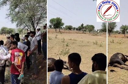 नंदी महाराज की मृत्यु पर पहुंची राष्ट्रीय गौ रक्षक सेना टीम !