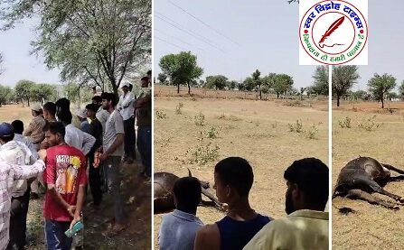 नंदी महाराज की मृत्यु पर पहुंची राष्ट्रीय गौ रक्षक सेना टीम !