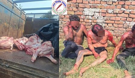 पनेठी - साधु आश्रम रोड पर गौकशी की हृदय विदारक घटना, प्रशासन ने लिया संज्ञान !