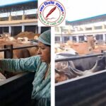 जिला मीडिया प्रभारी गौशाला जाकर गौमाता की सेवा को हाजिर !