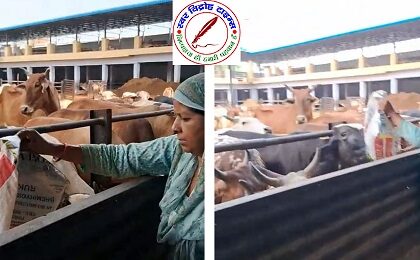 जिला मीडिया प्रभारी गौशाला जाकर गौमाता की सेवा को हाजिर !