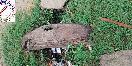 शेखपुर जाफर में नाली की नहीं हो रही है साफ सफाई, ग्रामीणों में आक्रोश !