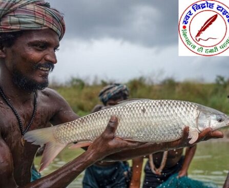 मत्स्य विभाग द्वारा संचालित राज्य सेक्टर की विभिन्न योजनाओं हेतु ऑनलाइन आवेदन आमंत्रण की सूचना !