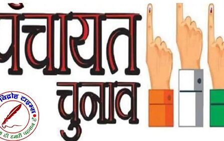 मतदान ने पकड़ी रफ्तार, कई जिलों में 13% के पार पहुंचा आंकड़ा !