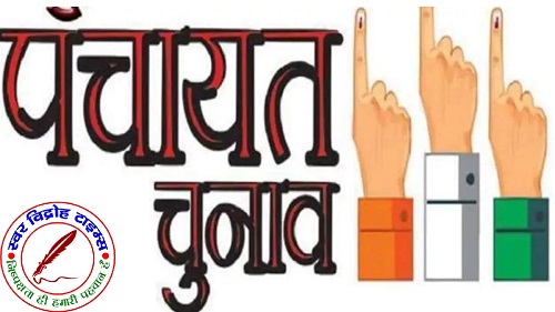 मतदान ने पकड़ी रफ्तार, कई जिलों में 13% के पार पहुंचा आंकड़ा !