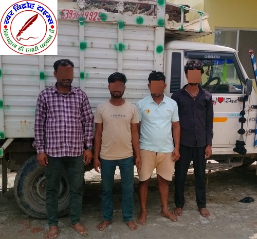 बृजमनगंज पुलिस की कार्यवाही ! पिकअप लदी पड़वा के साथ 4 गिरफ्तार !