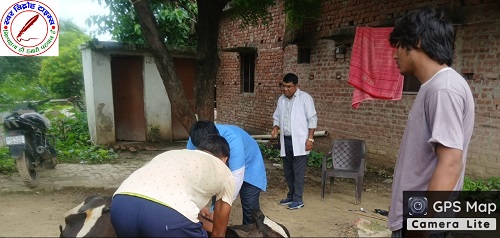 1962 मोबाइल वेटनरी यूनिट चारगांवा बनी गाय के लिए वरदान !