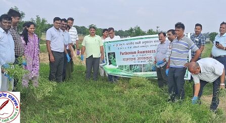 IIVR में पार्थेनियम जागरूकता कार्यक्रम का आयोजन !