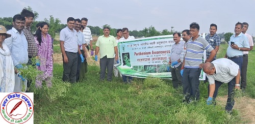 IIVR में पार्थेनियम जागरूकता कार्यक्रम का आयोजन !