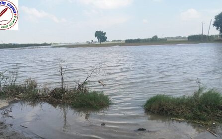 बाढ़ से अस्पताल कर्मियों को करना पड़ा पलायन ! राजकीय महाविद्यालय मगरहा में घुसा बाढ़ का पानी ! गांवों में जाने वाले कई मार्ग हुए जलमग्न आवागमन हुआ बंद !