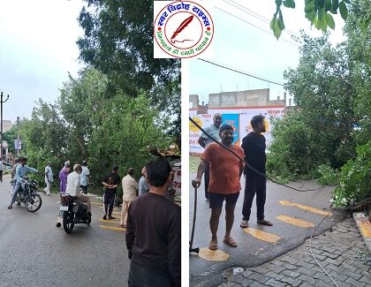 बारिश से गिरा विशाल काय चिलबिल का पेड़ बाल बाल बचे राहगीर ! कछवा चुनार राजमार्ग 74 पर हुआ हादसा बाल बाल बचे राहगीर ! स्थानीय लोगों के सूझ बूझ से बड़ा हादसा होते होते बचा !