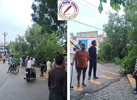 बारिश से गिरा विशाल काय चिलबिल का पेड़ बाल बाल बचे राहगीर ! कछवा चुनार राजमार्ग 74 पर हुआ हादसा बाल बाल बचे राहगीर ! स्थानीय लोगों के सूझ बूझ से बड़ा हादसा होते होते बचा !