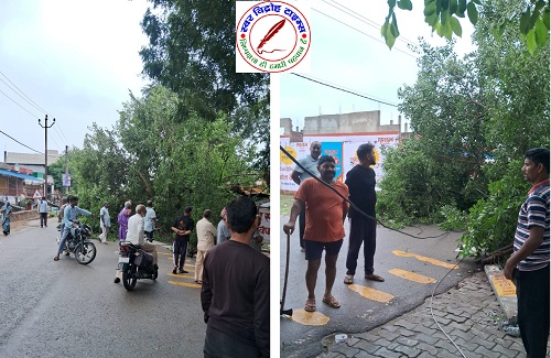 बारिश से गिरा विशाल काय चिलबिल का पेड़ बाल बाल बचे राहगीर ! कछवा चुनार राजमार्ग 74 पर हुआ हादसा बाल बाल बचे राहगीर ! स्थानीय लोगों के सूझ बूझ से बड़ा हादसा होते होते बचा !