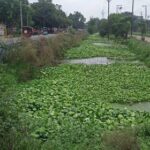 क्वार्सी से एटा चुंगी तक ड्रेन ढकने की मिली मंजूरी !