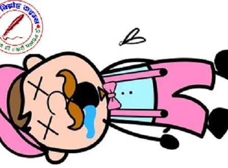 तीन मंजिल से गिरकर राजमिस्त्री की मौत !