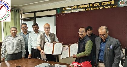 IIVR की चौलाई किस्म ‘काशी सुहावनी’ की लाइसेंसिंग ! इंडो हॉलैंड गार्डनिंग कंपनी के साथ हुआ समझौता ज्ञापन पर हस्ताक्षर !