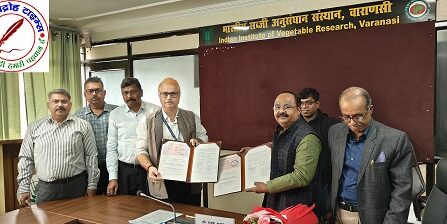 IIVR की चौलाई किस्म ‘काशी सुहावनी’ की लाइसेंसिंग ! इंडो हॉलैंड गार्डनिंग कंपनी के साथ हुआ समझौता ज्ञापन पर हस्ताक्षर !