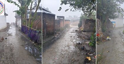 फरेंदा ब्लॉक के ग्राम झुनुवा में रोड पर जलभराव ! ग्रामीणों की बढ़ी मुश्किलें !