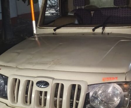 गौवंशीय पशुओं को गौवध हेतु क्रूरता से ले जा रहे तस्करों की साजिश नाकाम ! चैकिंग अभियान में बड़ी सफलता !