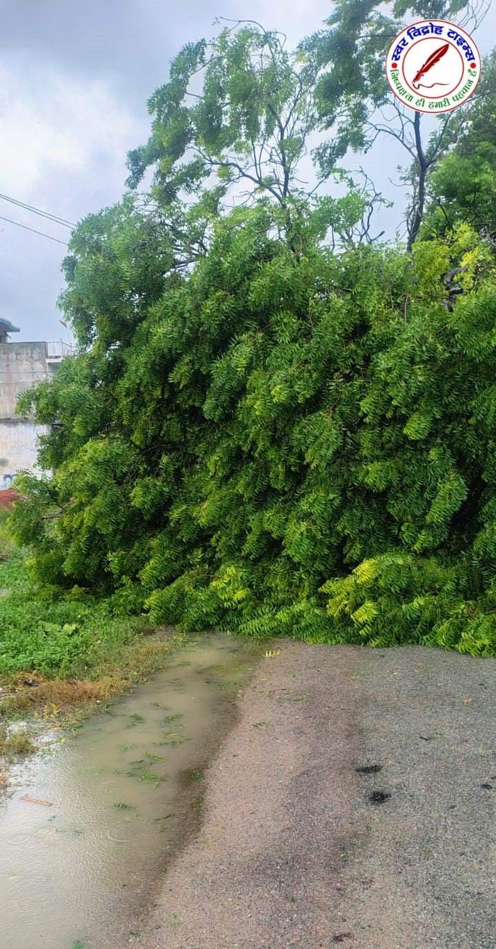 Test
